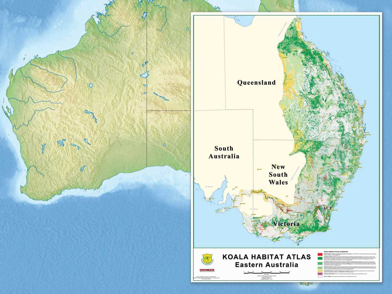 koala range map
